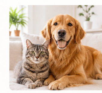 Happy dog and cat in a clean home